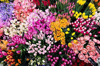 悬疑经典《死亡终局 轮回试炼2》确定8月19日登陆Switch发售