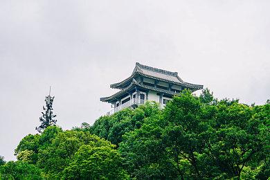 《艾尔登法环》官方漫画作者停更狂肝《黄金树幽影》